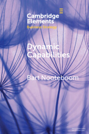 Dynamic Capabilities