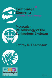 Molecular Paleobiology of the Echinoderm Skeleton