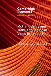 Multimodality and Translanguaging in Video Interactions