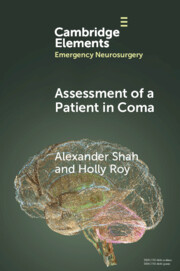 Assessment of a Patient in Coma