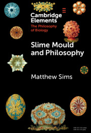 Slime Mould and Philosophy