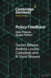 Policy Feedback